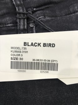 BLACK  BIRD
